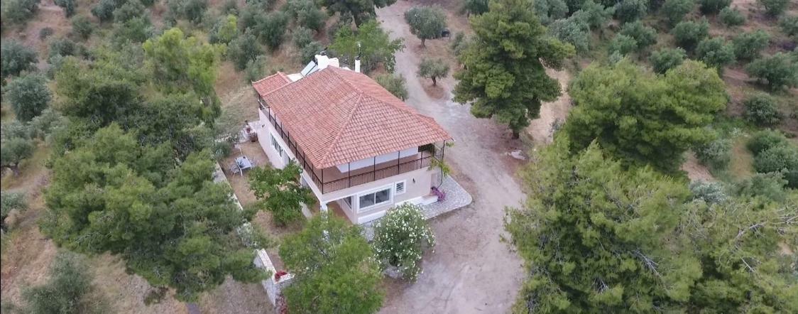 Olea Escape Villa In An Olive Estate Гитион Экстерьер фото