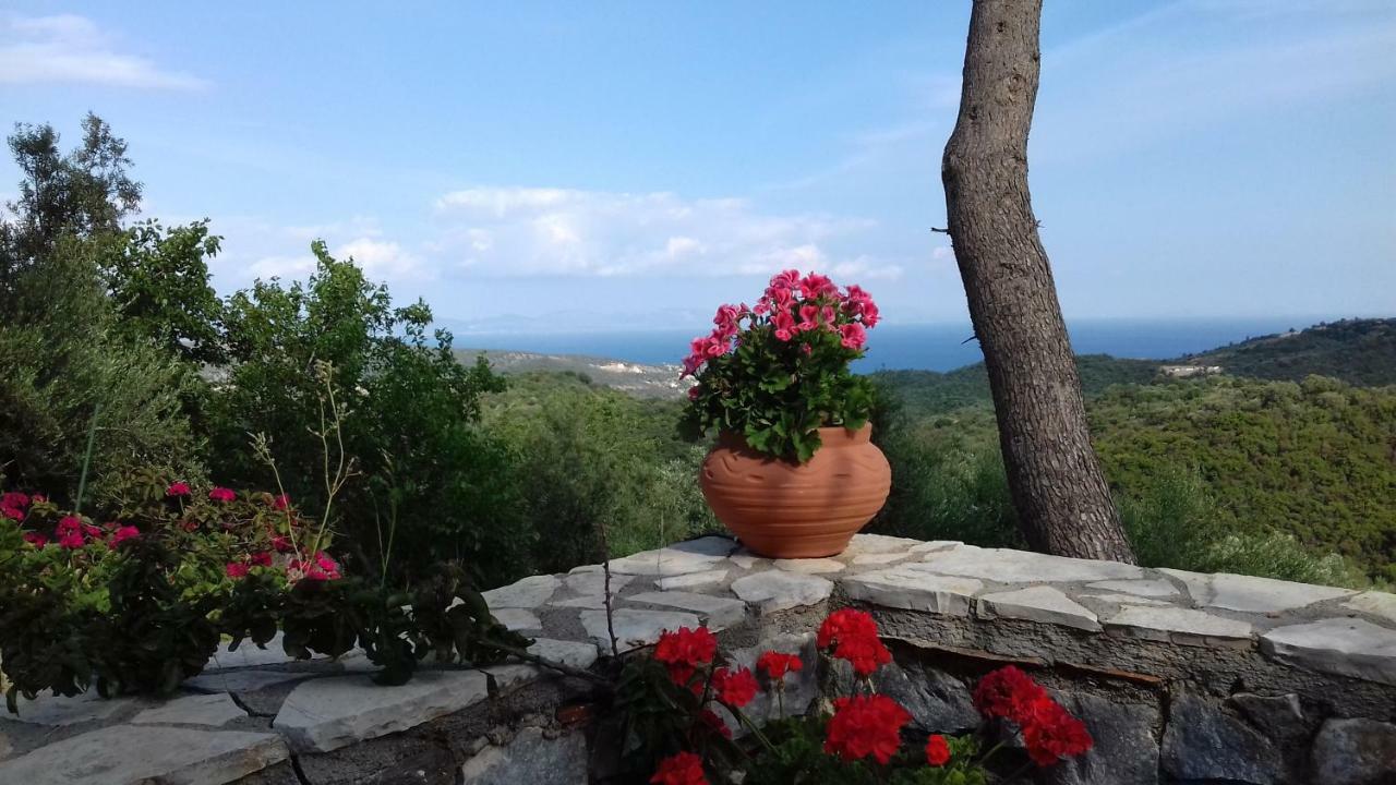 Olea Escape Villa In An Olive Estate Гитион Экстерьер фото